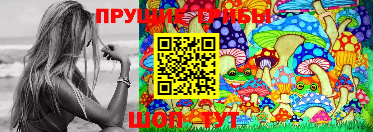 Сафоново  Псилоцибиновые грибы Psilocybe  Вход с VPN  Галлюциногенные грибы Psilocybine cubensis 