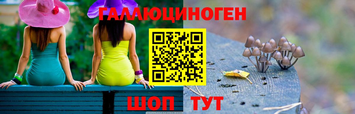 Псилоцибиновые грибы Psilocybine cubensis Сафоново